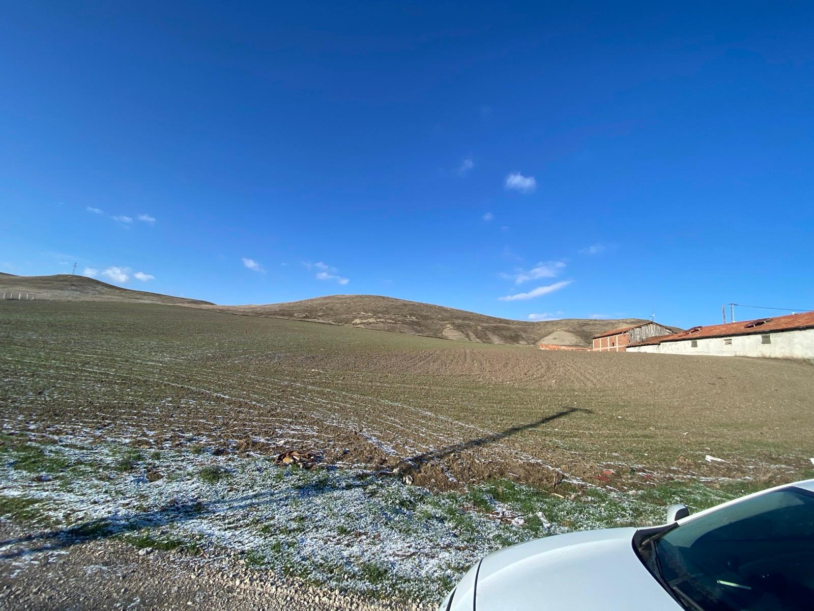 MABEL'DEN KAÇIRILMAYACAK TARLA